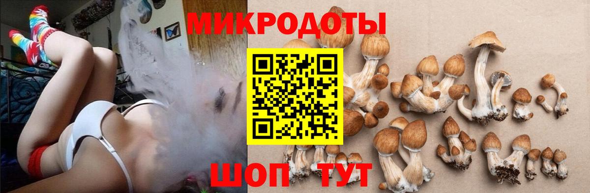 Рассказово  Галлюциногенные грибы Psilocybe  Вход с VPN  Псилоцибиновые грибы MAGIC MUSHROOMS 